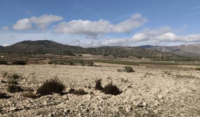 Revente - Land - Salinas