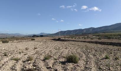 Revente - Land - Salinas