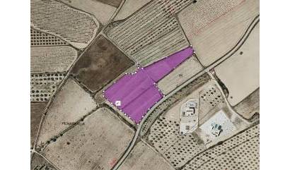 Revente - Land - Salinas