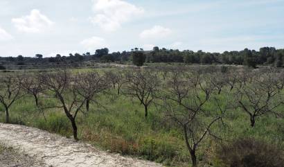 Revente - Land - San Miguel de Salinas - Torremendo