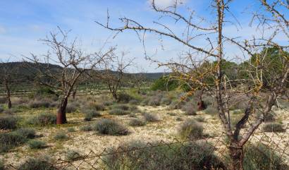 Revente - Land - San Miguel de Salinas - Torremendo