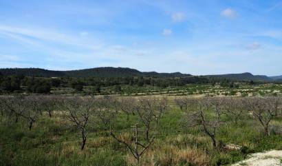 Revente - Land - San Miguel de Salinas - Torremendo