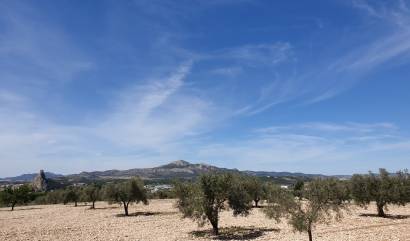 Revente - Land - Sax