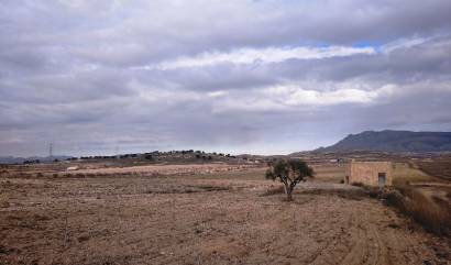 Revente - Land - Torre del Rico