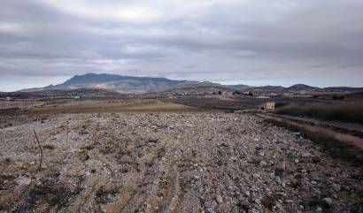 Revente - Land - Torre del Rico