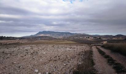 Revente - Land - Torre del Rico