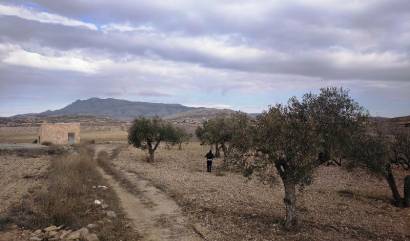 Revente - Land - Torre del Rico