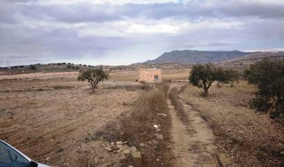 Revente - Land - Torre del Rico