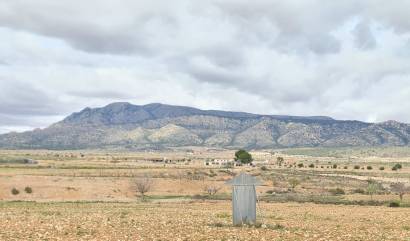 Revente - Land - Torre Del Rico