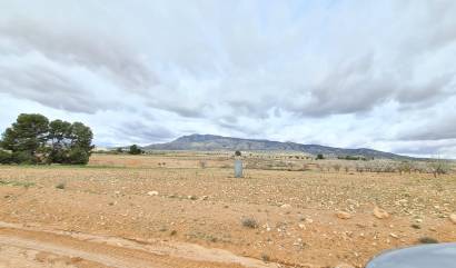 Revente - Land - Torre Del Rico