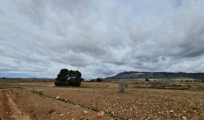 Revente - Land - Torre Del Rico