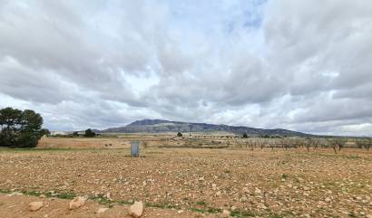Revente - Land - Torre Del Rico