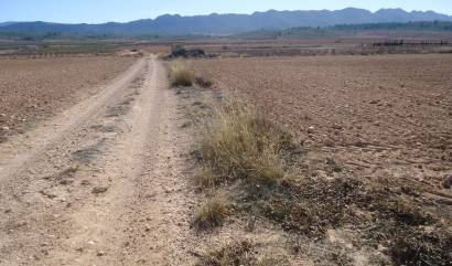 Revente - Land - Yecla