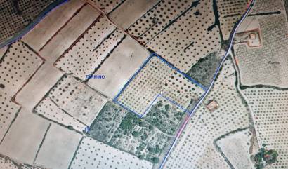 Revente - Land - Yecla