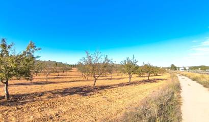 Revente - Land - Yecla