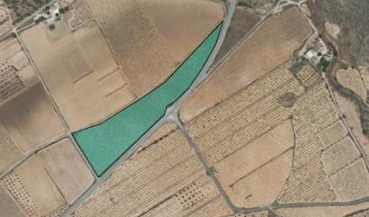 Revente - Land - Yecla