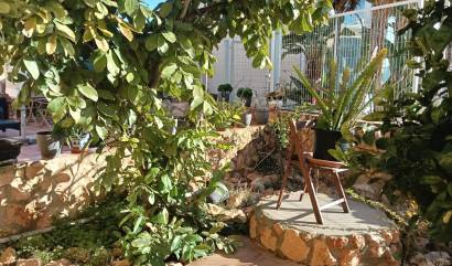 Revente -  - Los Montesinos - La Herrada