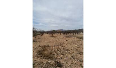 Revente - Maison de ville - Casas del Senor