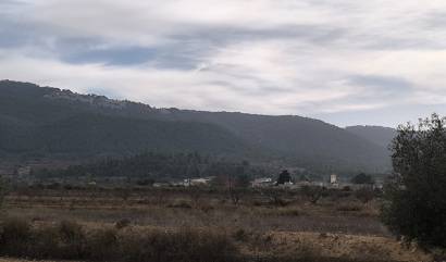 Revente -  - Monovar