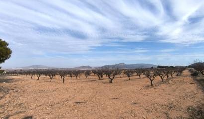 Revente -  - Monovar