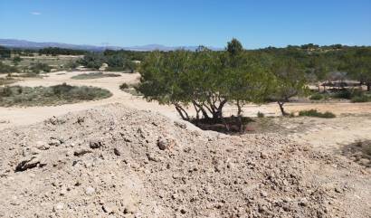 Revente -  - San Fulgencio - La Marina