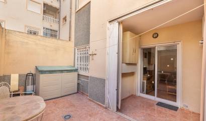 Revente -  - Torrevieja - Estacion de autobuses