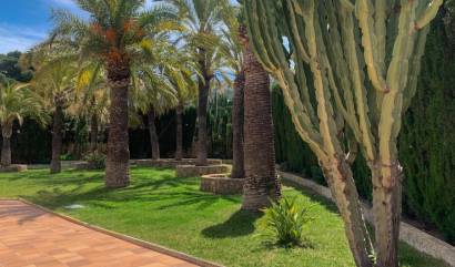 Revente - Villa - Albir