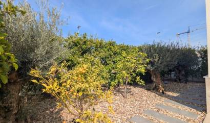 Revente - Villa - Benijofar