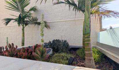 Revente - Villa - Benijofar