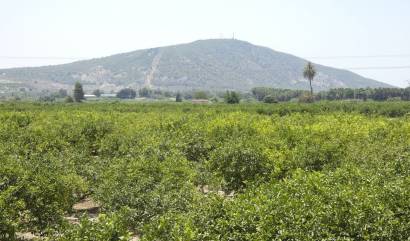 Revente - Villa - Bigastro