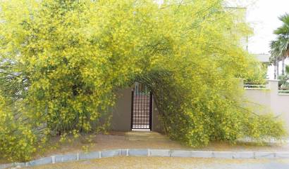 Revente - Villa - Ciudad Quesada