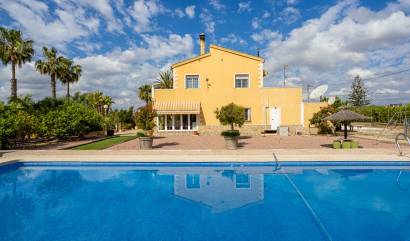 Revente - Villa - Elche - La Hoya