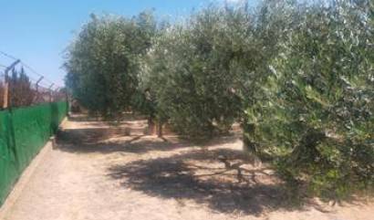 Revente - Villa - Elche