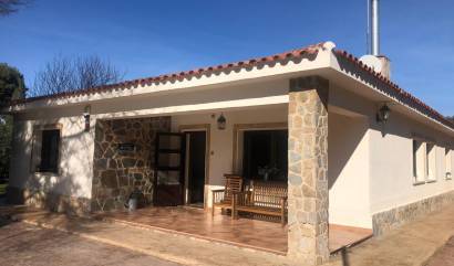 Revente - Villa - Elda