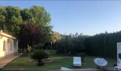 Revente - Villa - Elda