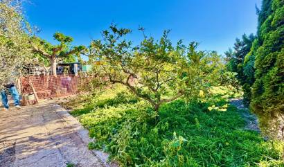 Revente - Villa - Guardamar del Segura