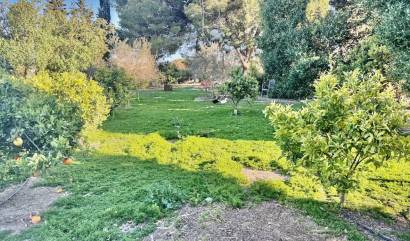 Revente - Villa - Guardamar del Segura