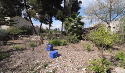 Revente - Villa - Heredades