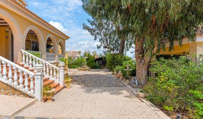 Revente - Villa - Jacarilla