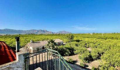 Revente - Villa - Orihuela