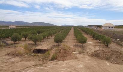 Revente - Villa - Pinoso