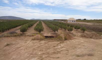 Revente - Villa - Pinoso