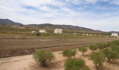 Revente - Villa - Pinoso