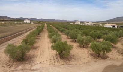 Revente - Villa - Pinoso