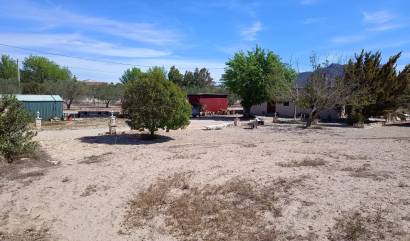 Revente - Villa - Salinas