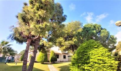 Revente - Villa - Torrevieja