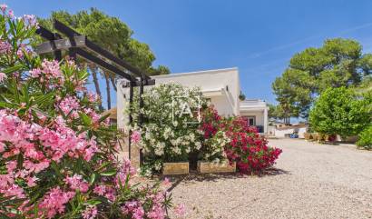 Sale - 4. House - Detached Villa - Pinar de Campoverde