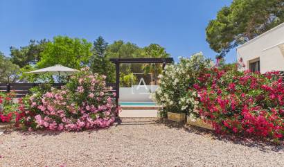 Sale - 4. House - Detached Villa - Pinar de Campoverde