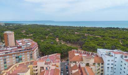 Sale - Apartment - Guardamar del Segura - CENTRO