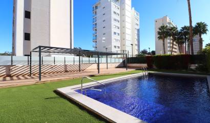 Sale - Apartment - Guardamar del Segura